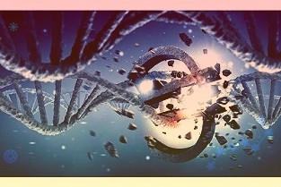 隆利科技去年营收近20亿元车载显示及VR产品具备量产优势