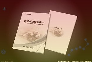 3599元起，iQOO10“曼岛特别版”和“赛道特别版”发布：素皮拼接玻