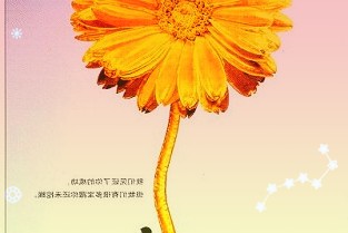 微软展示Win11第三方小组件，今年晚些时候到来